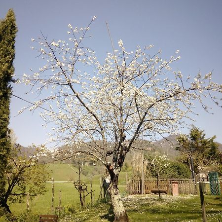 B&B Le Due Volpi Vicchio Esterno foto