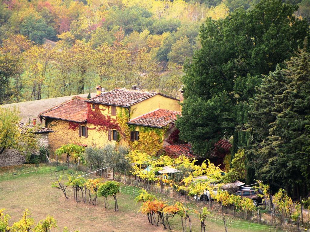 B&B Le Due Volpi Vicchio Esterno foto