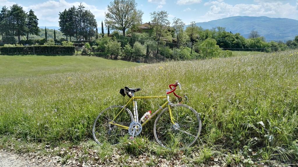 B&B Le Due Volpi Vicchio Esterno foto