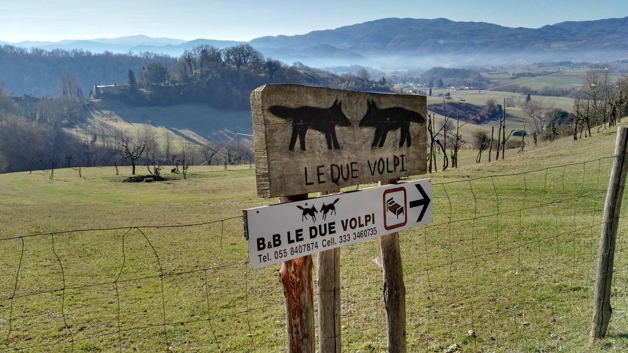 B&B Le Due Volpi Vicchio Esterno foto