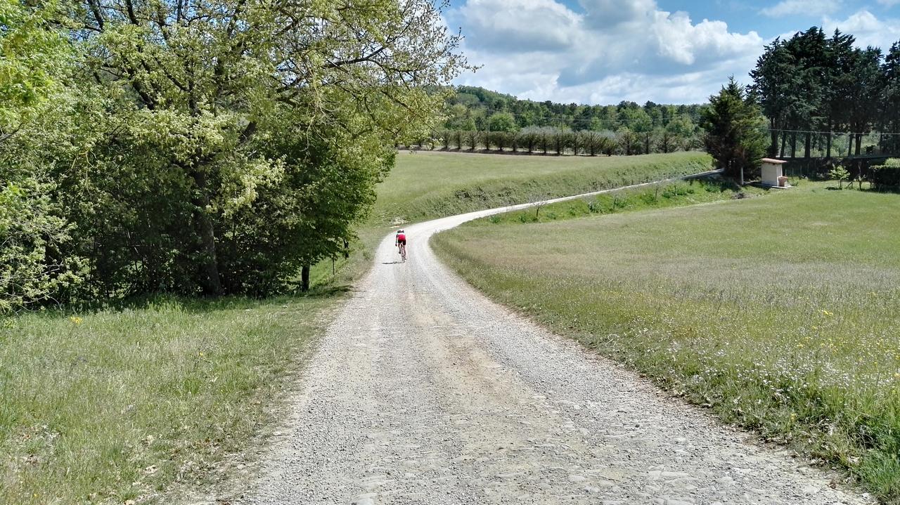 B&B Le Due Volpi Vicchio Esterno foto