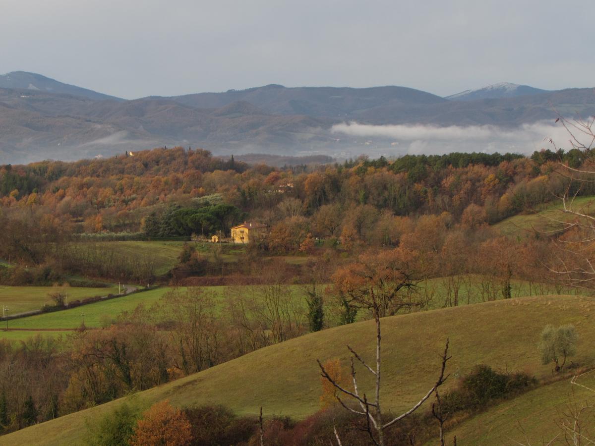 B&B Le Due Volpi Vicchio Esterno foto